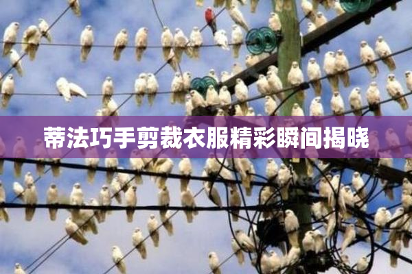 蒂法巧手剪裁衣服精彩瞬间揭晓