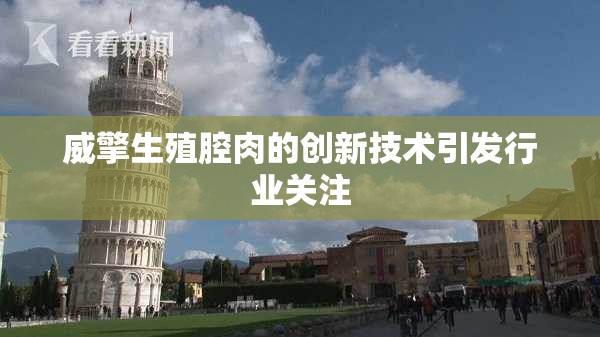 威擎生殖腔肉的创新技术引发行业关注