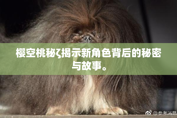 樱空桃秘ζ揭示新角色背后的秘密与故事。