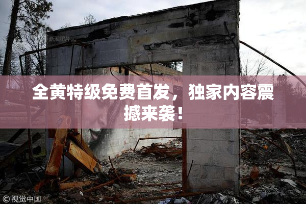 全黄特级免费首发，独家内容震撼来袭！