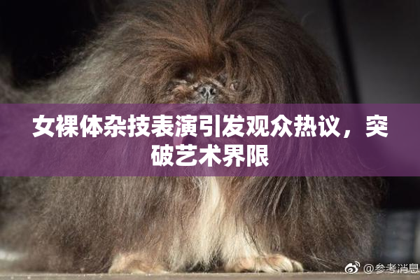 女裸体杂技表演引发观众热议，突破艺术界限