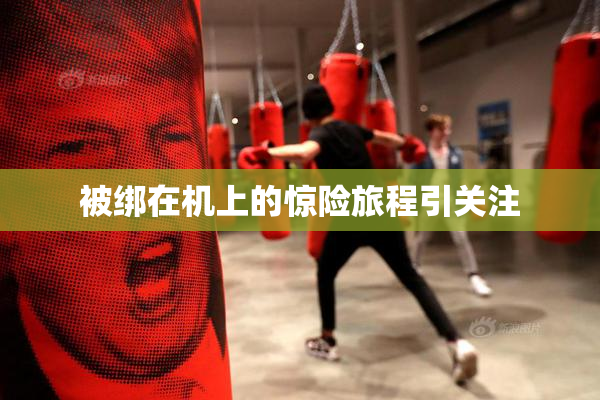 被绑在机上的惊险旅程引关注