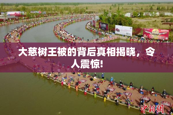 大慈树王被的背后真相揭晓，令人震惊!