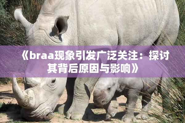 《braa现象引发广泛关注：探讨其背后原因与影响》