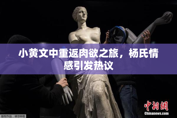 小黄文中重返肉欲之旅，杨氏情感引发热议