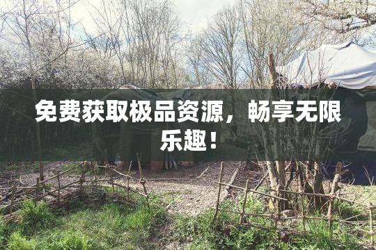 免费获取极品资源，畅享无限乐趣！