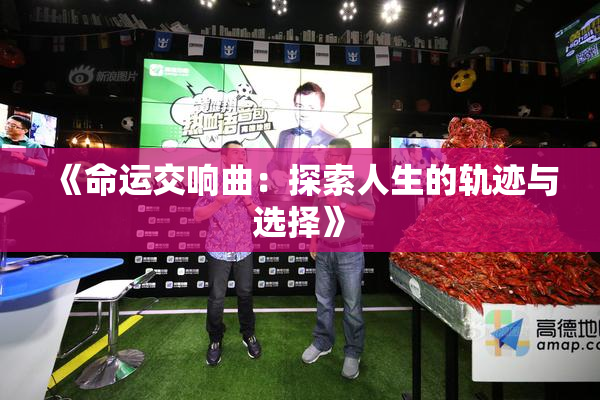 《命运交响曲：探索人生的轨迹与选择》