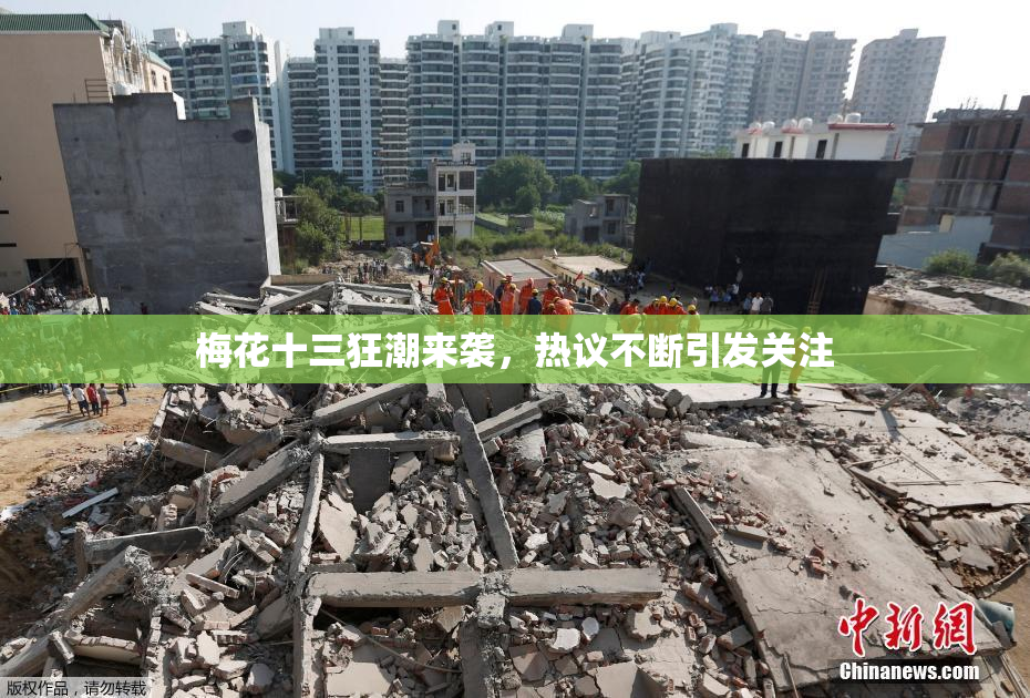 梅花十三狂潮来袭，热议不断引发关注