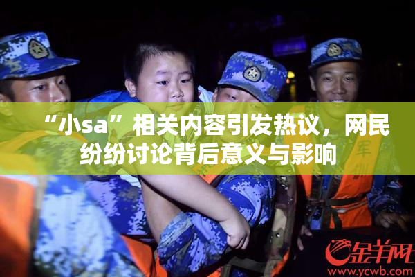 “小sa”相关内容引发热议，网民纷纷讨论背后意义与影响