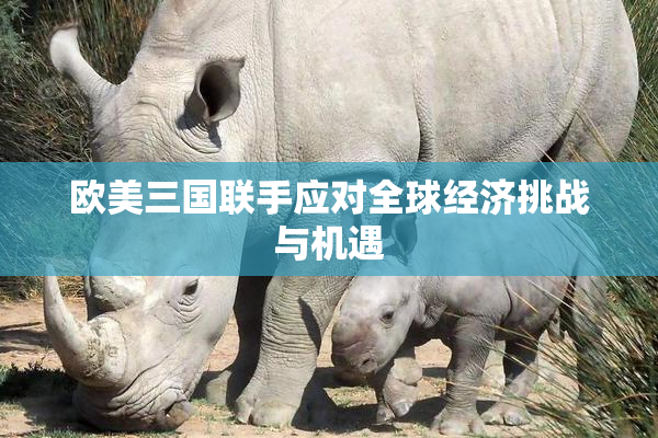 欧美三国联手应对全球经济挑战与机遇