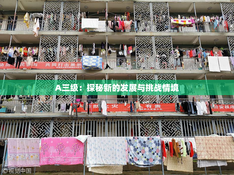 A三级：探秘新的发展与挑战情境