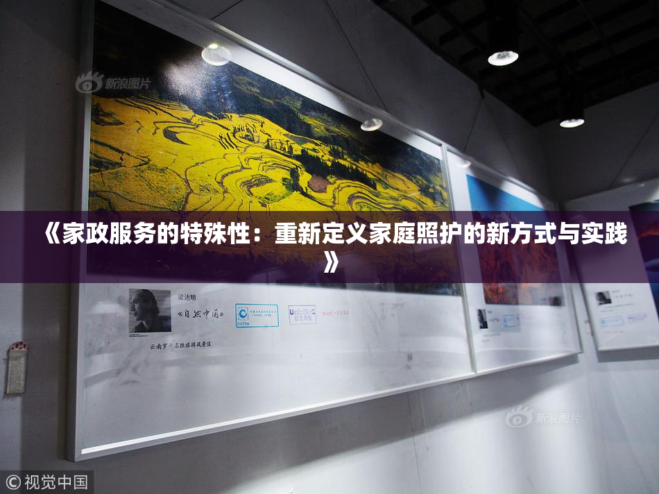 《家政服务的特殊性：重新定义家庭照护的新方式与实践》