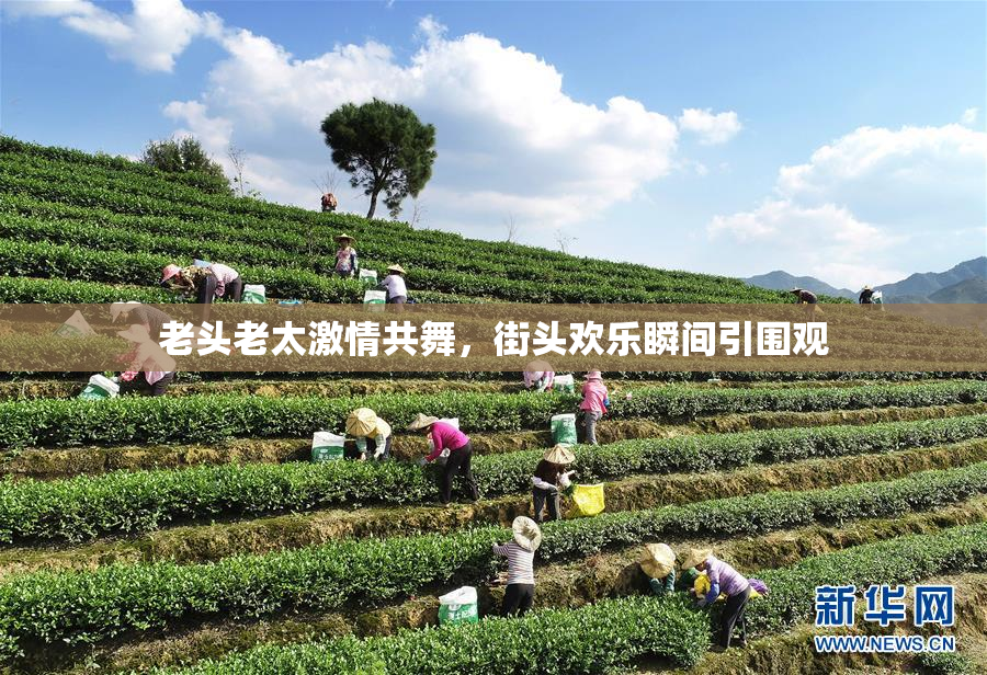 老头老太激情共舞，街头欢乐瞬间引围观