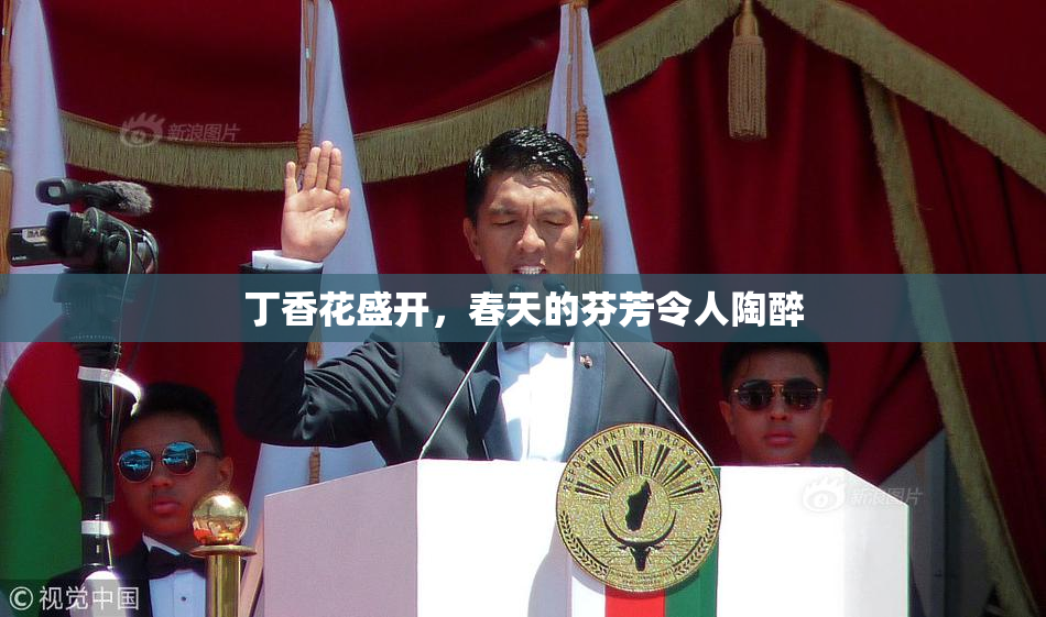 丁香花盛开，春天的芬芳令人陶醉