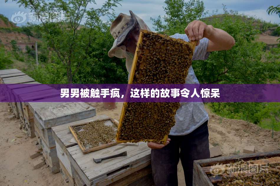 男男被触手疯，这样的故事令人惊呆