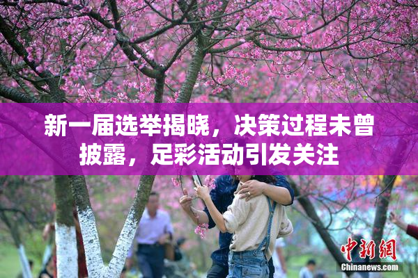 新一届选举揭晓，决策过程未曾披露，足彩活动引发关注