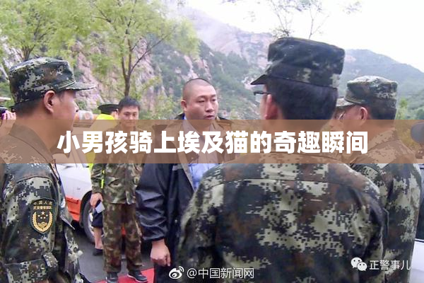 小男孩骑上埃及猫的奇趣瞬间