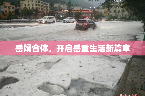 岳婿合体，开启岳重生活新篇章