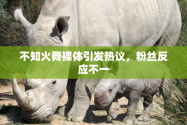 不知火舞裸体引发热议，粉丝反应不一