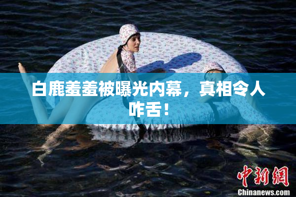 白鹿羞羞被曝光内幕，真相令人咋舌！