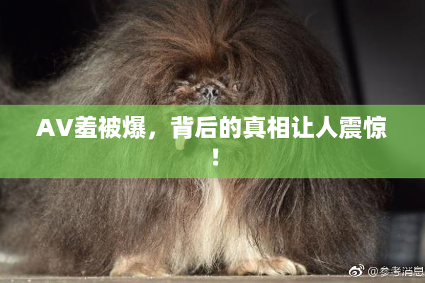 AV羞被爆，背后的真相让人震惊！