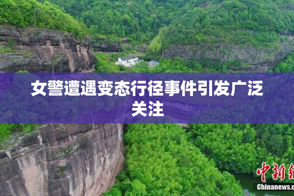 女警遭遇变态行径事件引发广泛关注