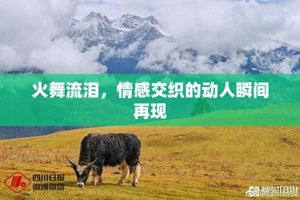火舞流泪，情感交织的动人瞬间再现
