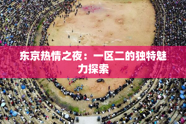 东京热情之夜：一区二的独特魅力探索