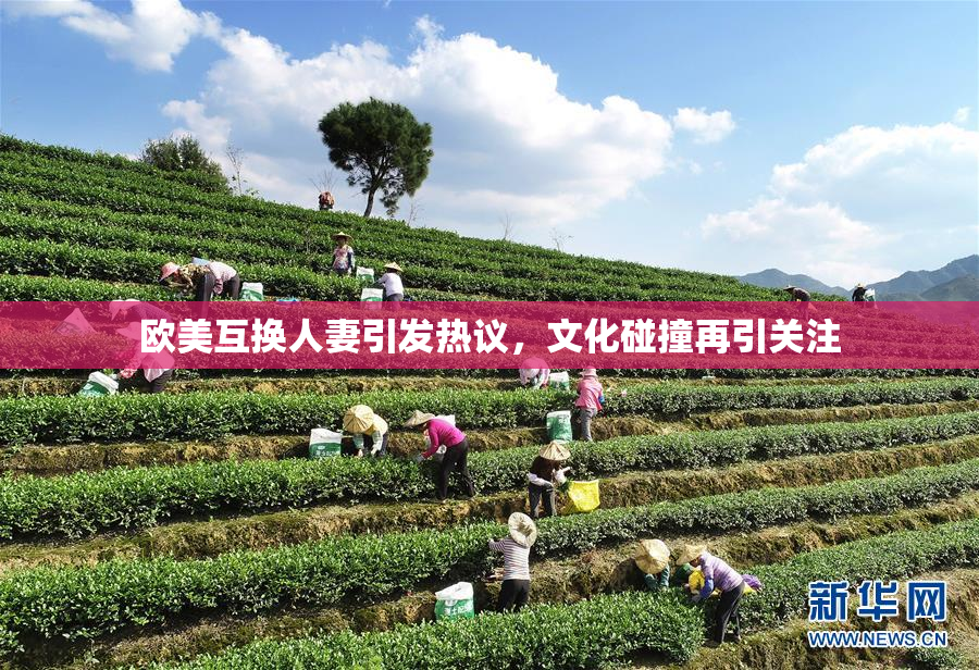 欧美互换人妻引发热议，文化碰撞再引关注