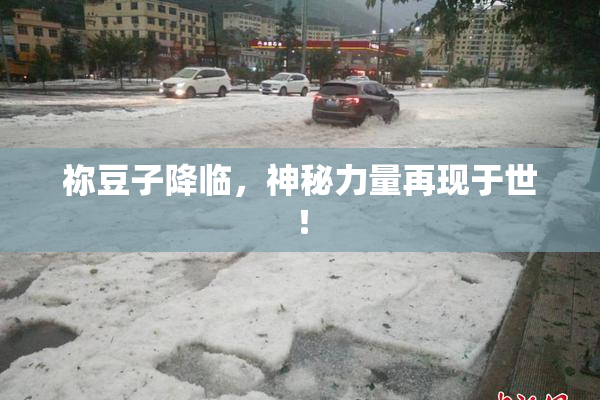 祢豆子降临，神秘力量再现于世！