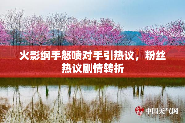 火影纲手怒喷对手引热议，粉丝热议剧情转折