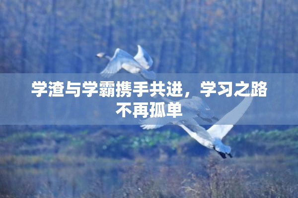 学渣与学霸携手共进，学习之路不再孤单