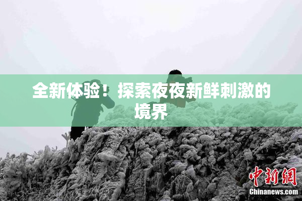 全新体验！探索夜夜新鲜刺激的境界