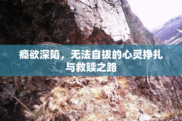 瘾欲深陷，无法自拔的心灵挣扎与救赎之路