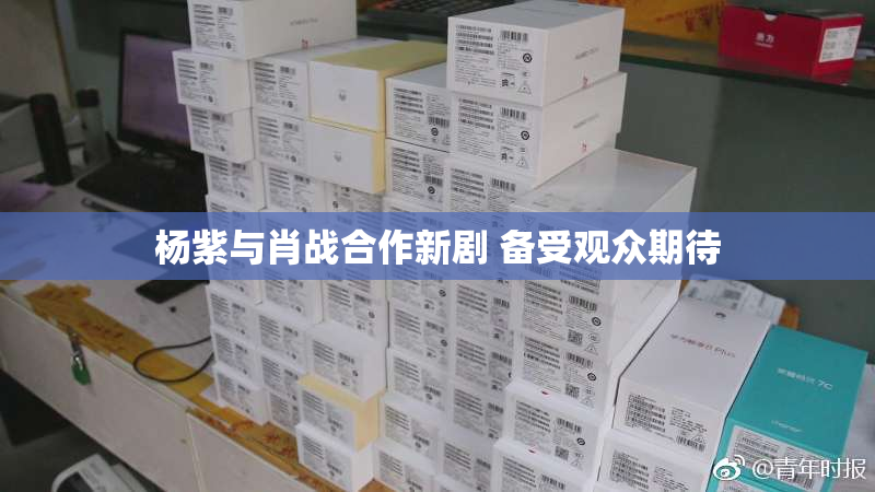 杨紫与肖战合作新剧 备受观众期待