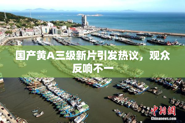 国产黄A三级新片引发热议，观众反响不一