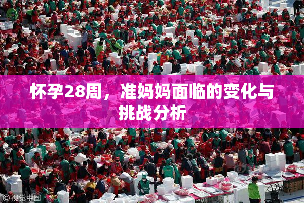 怀孕28周，准妈妈面临的变化与挑战分析