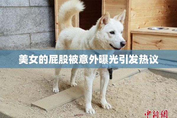 美女的屁股被意外曝光引发热议