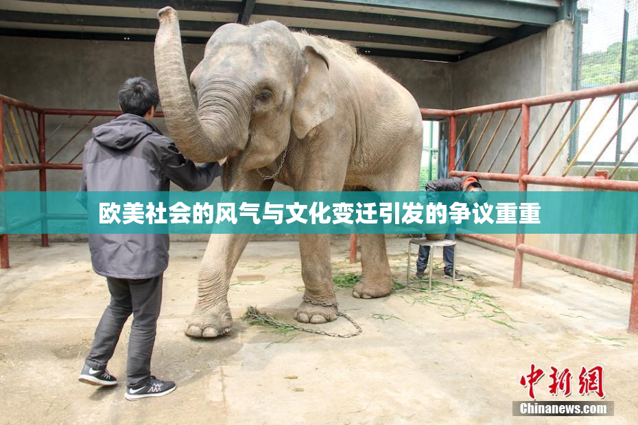 欧美社会的风气与文化变迁引发的争议重重