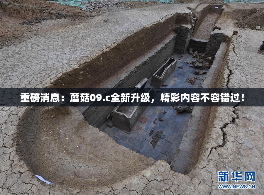 重磅消息：蘑菇09.c全新升级，精彩内容不容错过！
