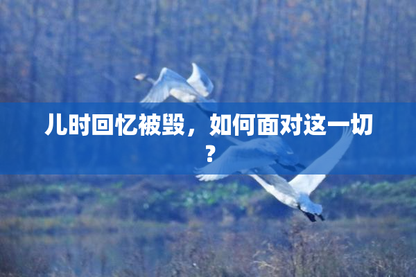 儿时回忆被毁，如何面对这一切？