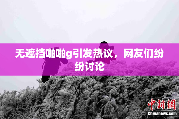 无遮挡啪啪g引发热议，网友们纷纷讨论