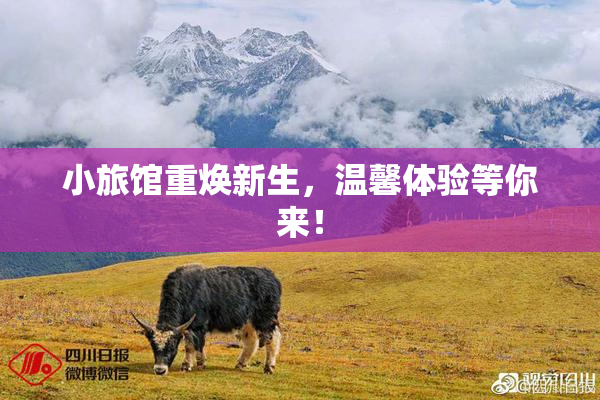 小旅馆重焕新生，温馨体验等你来！