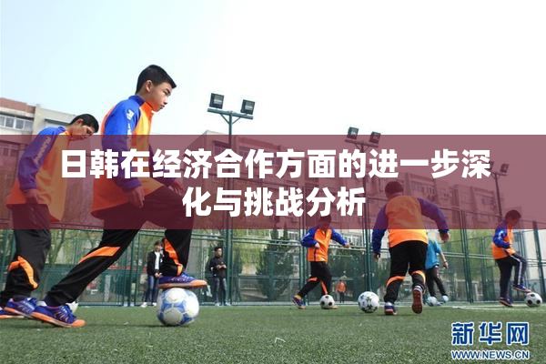 日韩在经济合作方面的进一步深化与挑战分析
