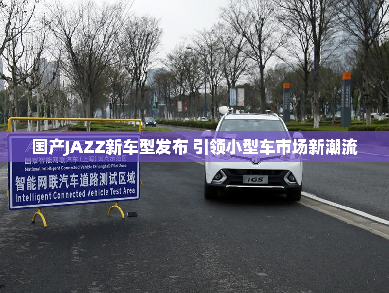 国产JAZZ新车型发布 引领小型车市场新潮流