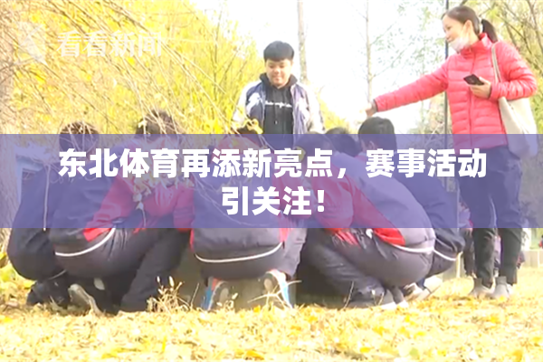 东北体育再添新亮点，赛事活动引关注！