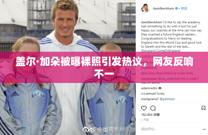 盖尔·加朵被曝裸照引发热议，网友反响不一