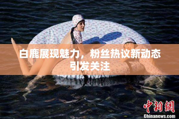 白鹿展现魅力，粉丝热议新动态引发关注