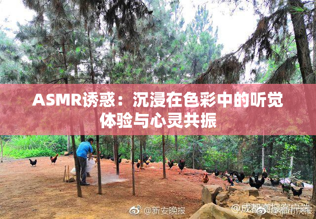ASMR诱惑：沉浸在色彩中的听觉体验与心灵共振