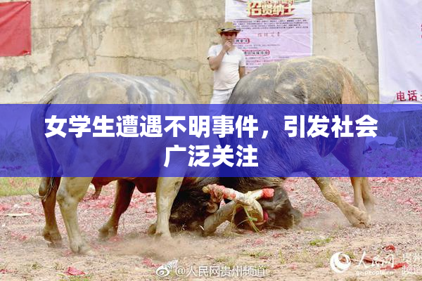 女学生遭遇不明事件，引发社会广泛关注